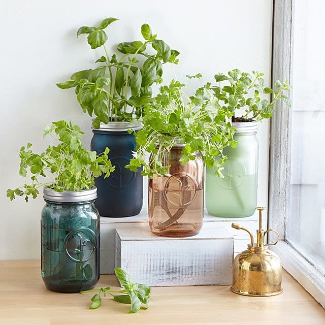 Best Gardening Gifts 2024: Mason Jar Indoor Garden 2024