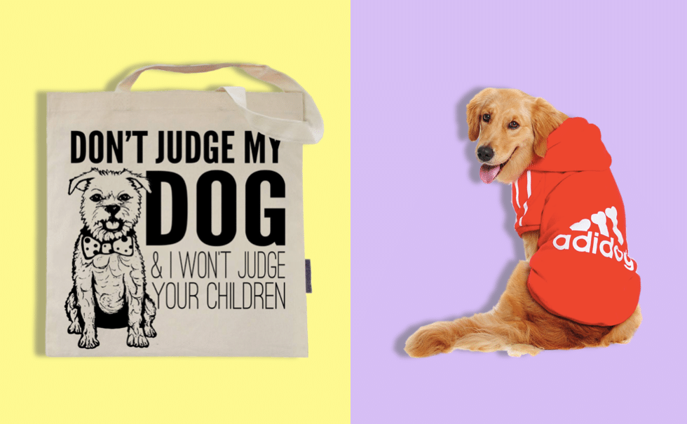10 Best Gifts For Dog Lovers in 2020 